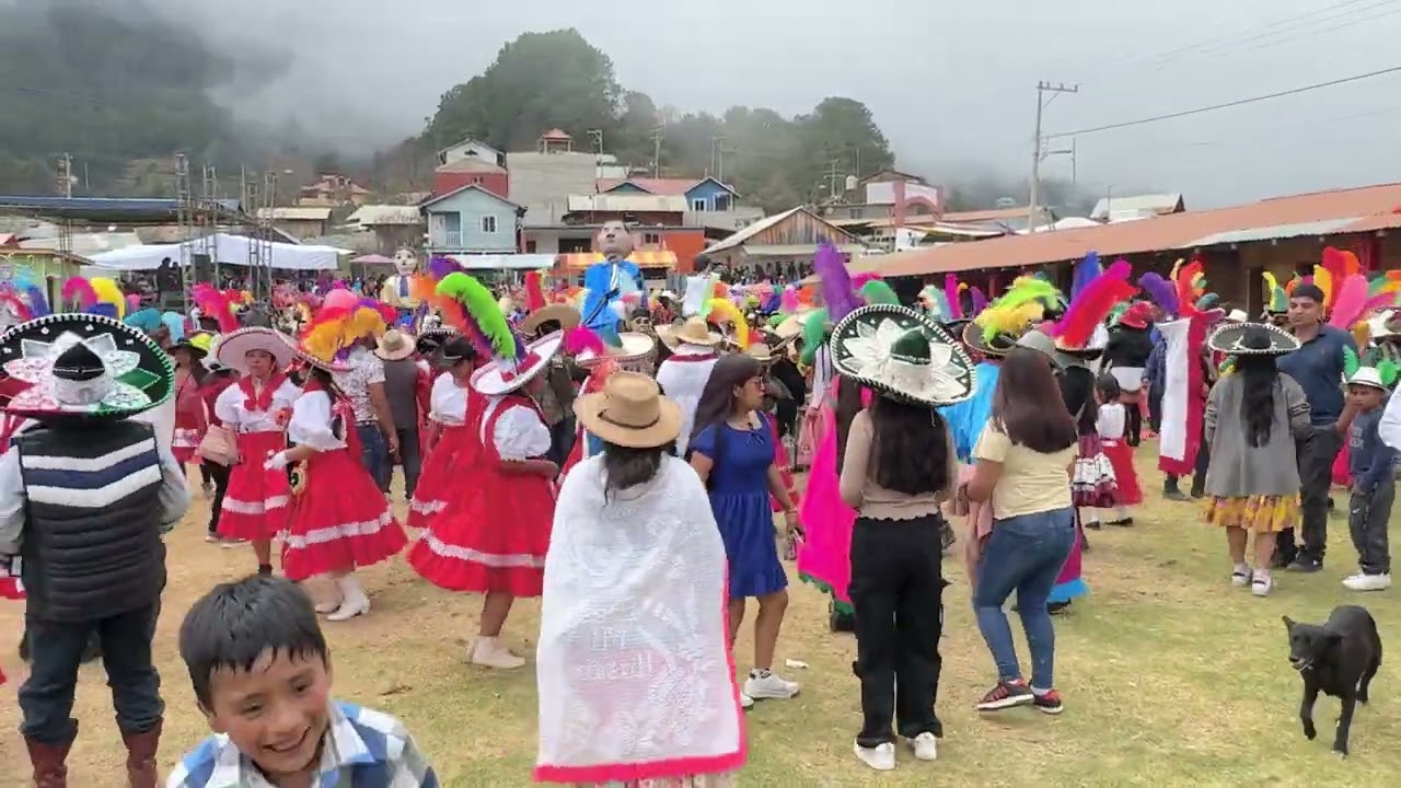 Segunda manzana 🍎 viernes de castrenta 