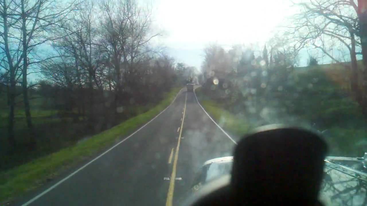 Rooster cruisin