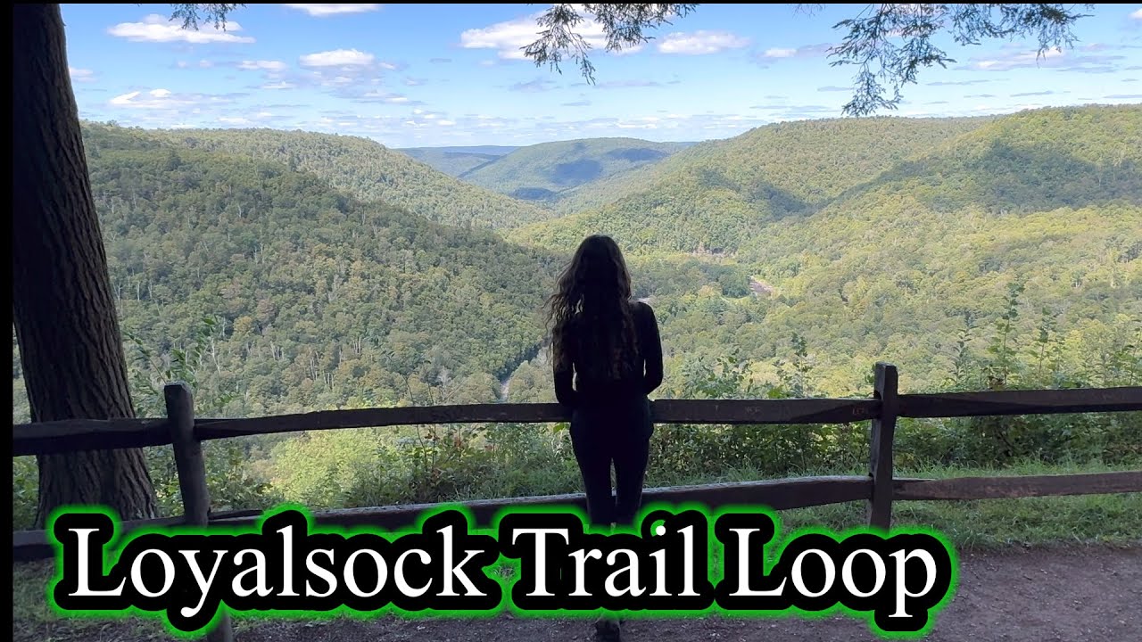 Loyalsock Trail Northern Loop Backpacking | 2 Day Backpacking Trip | PA Backpacking