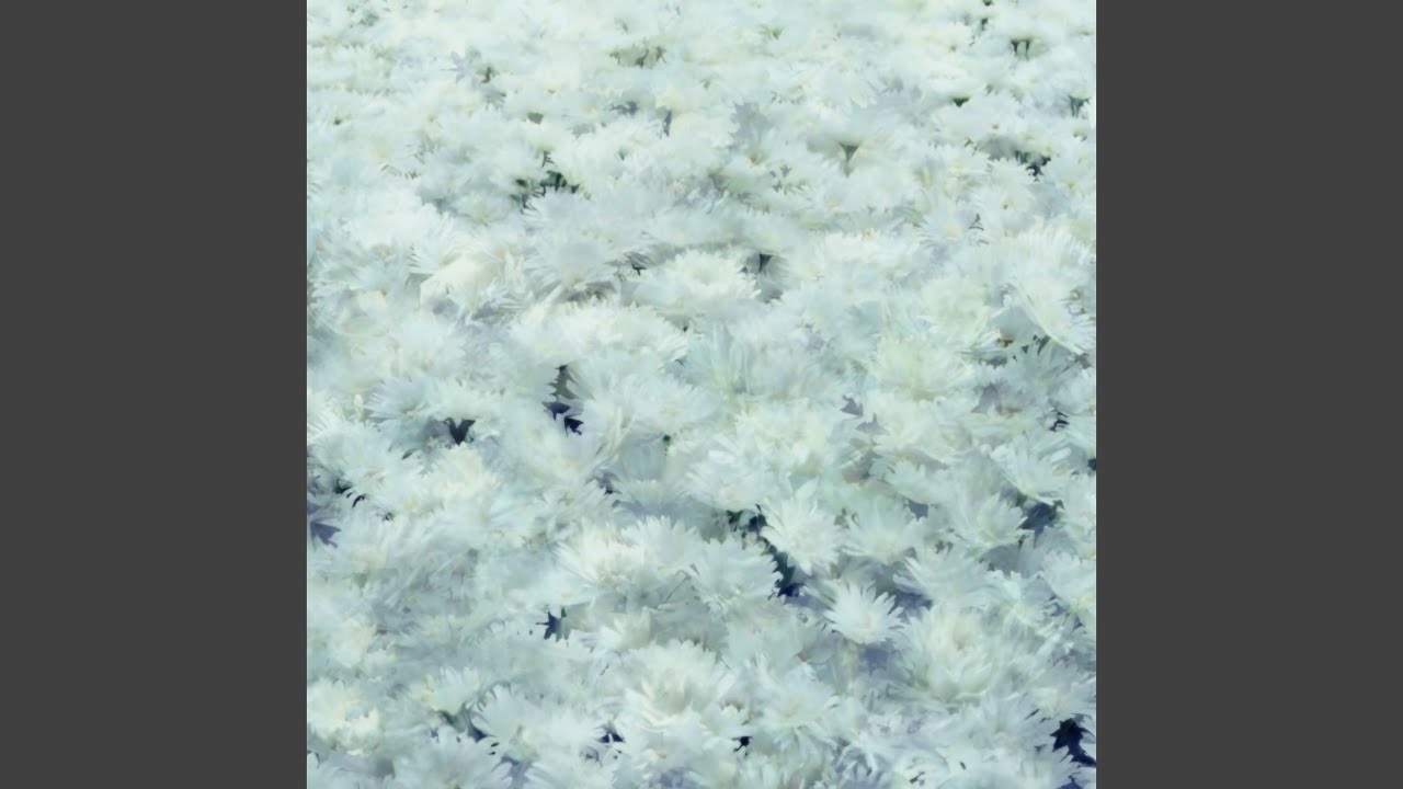 ハナの生涯