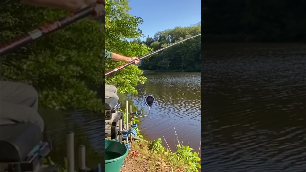 P&ecirc;che : La le&ccedil;on inattendue des poissons qui reviennent ! #shorts