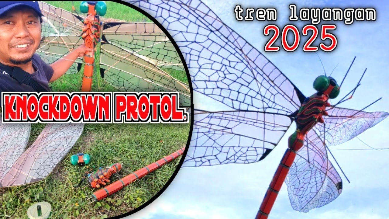 layangan capung 3d dari gabus bekas lemari es