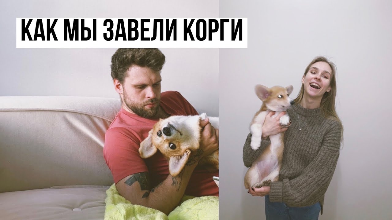 КОРГИ первые месяцы жизни | ЧТО НУЖНО ЗНАТЬ и К ЧЕМУ ГОТОВИТЬСЯ