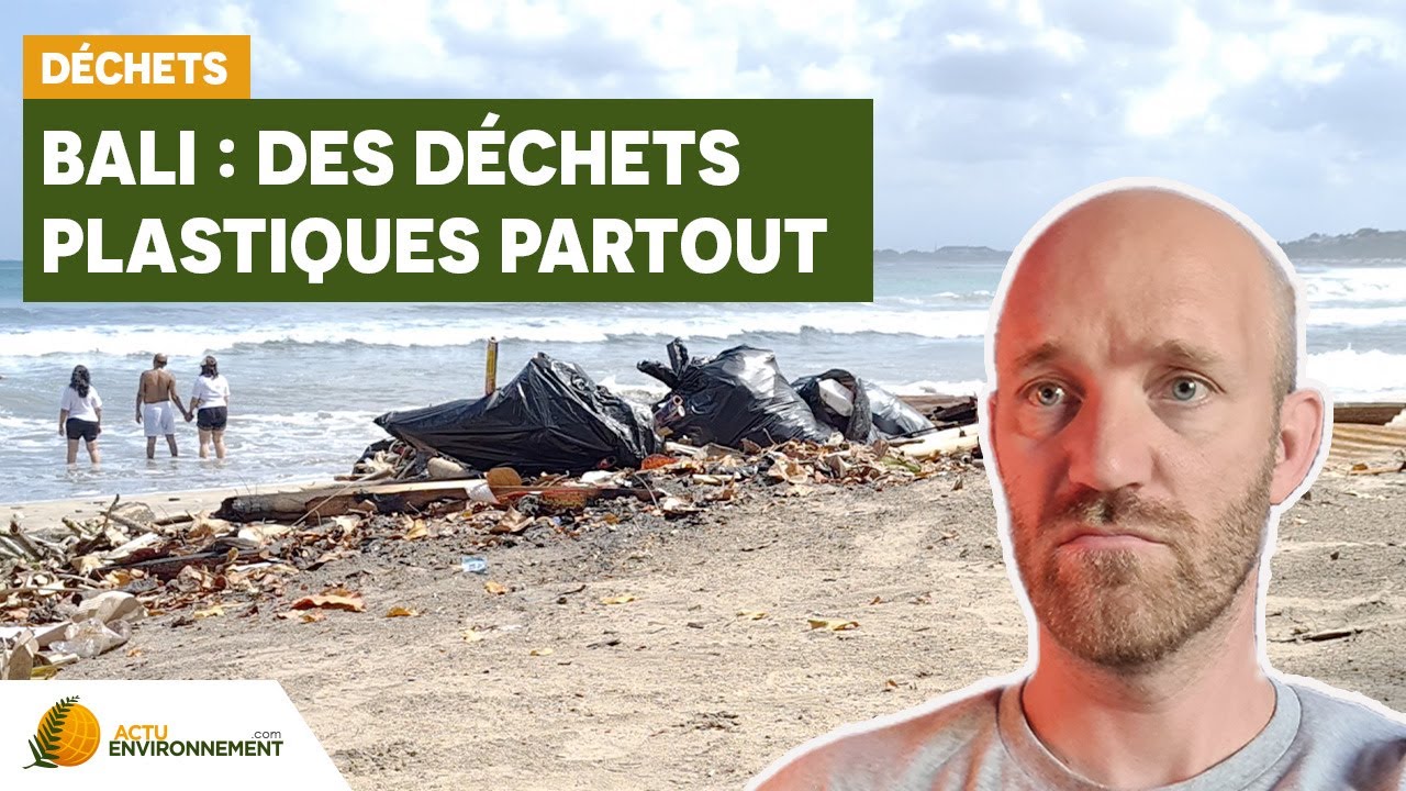 Comment les associations aident Bali à gérer ses déchets ?