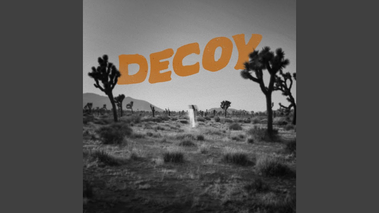 Decoy