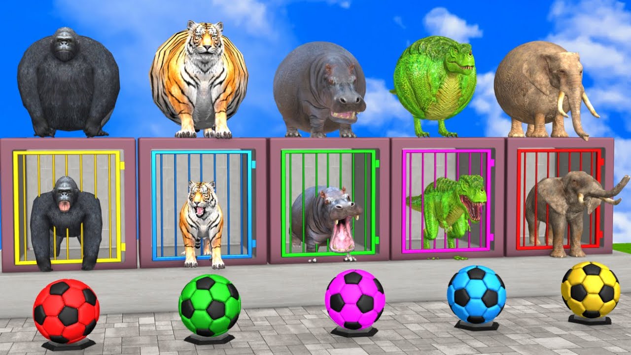 Long Slide Game With Cow Elephant Gorilla Hippopotamus Tiger - 3d Animal Game - Funny 3d Animals