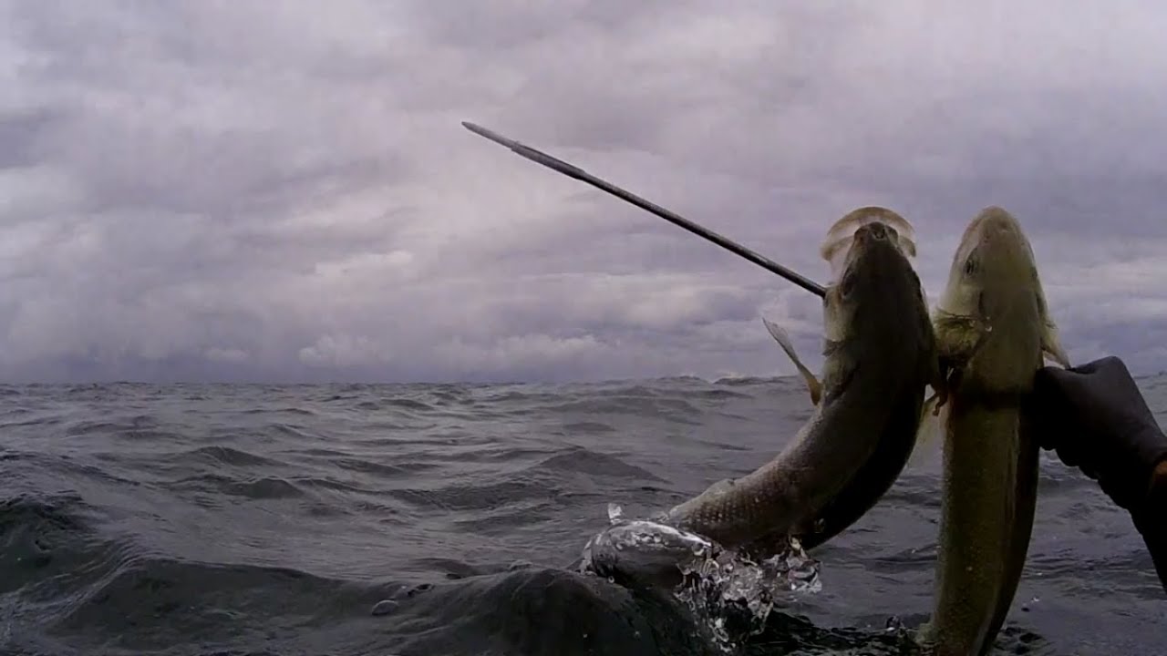 pesca submarina Cantábrico-una oportunidad muy bien aprovechada-15-spearfishing