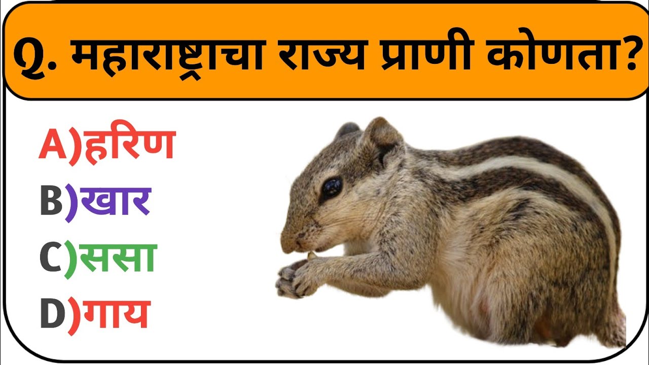 Brain Test GK Quiz | किती बरोबर येतात ते बघा | Gk In Marathi |  #Gkarchana