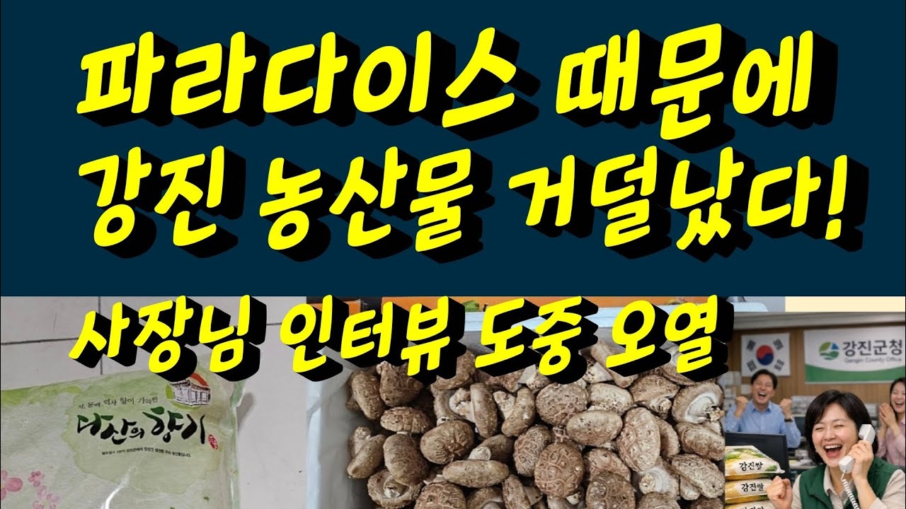 황영웅 파라다이스 때문에 강진 농산물 거덜났다! 청자축제 사장님 인터뷰 도중 오열! 감동입니다 #황영웅 #황영웅tv #황영웅콘서트 #황영웅지역축제 #강진청자축제 #황영웅지역행사 