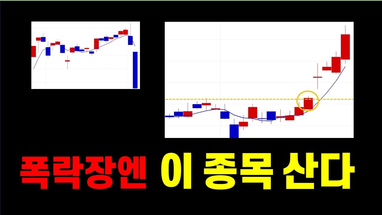 폭락장에선 이런 종목을 사야 수익이 납니다