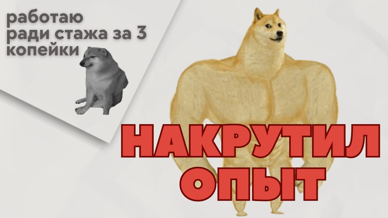 Как вкатиться в IT с 0 и БЕЗ курсов? ГАЙД ПО НАКРУТКЕ ОПЫТА