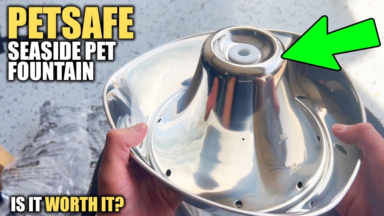 PetSafe Seaside 60 Ounce Stainless Steel Pet Fountain Review