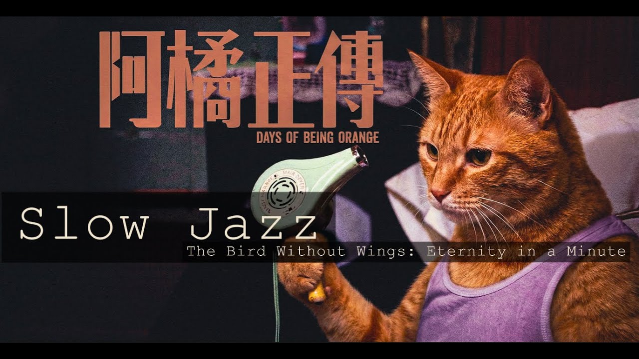 [JAZZ Playlist]『阿橘正傳』 - 1960年、湿った記憶と脚のない猫のブルース - 【作業用BGM】- Room 2046 Vinyl