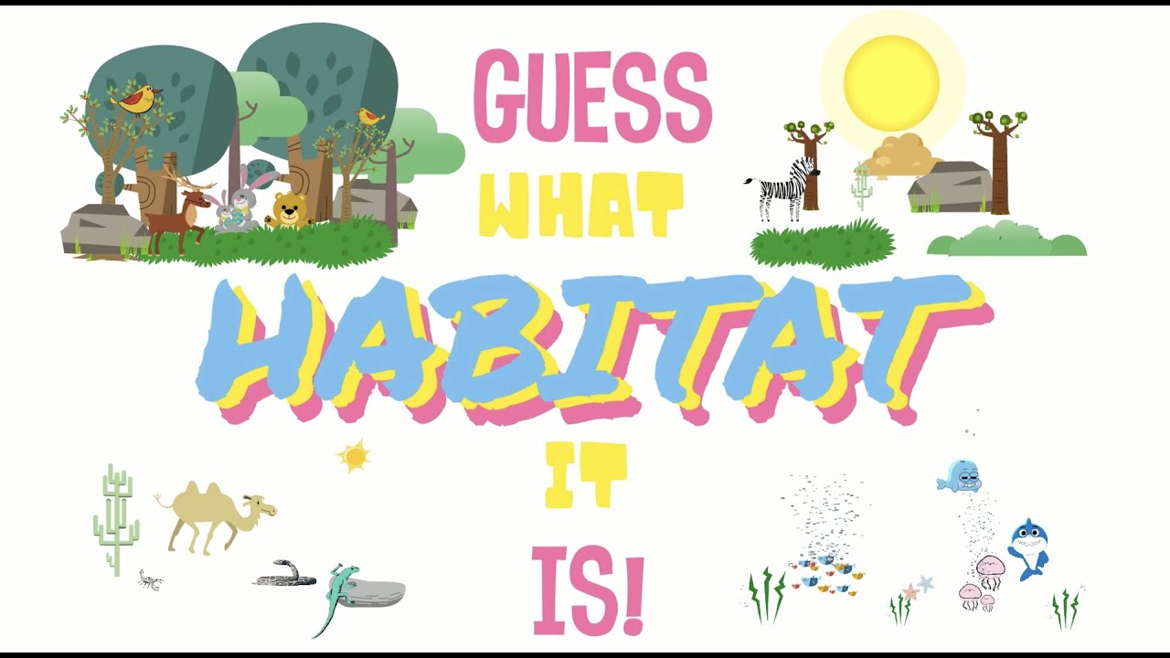 Guess what habitat it is!