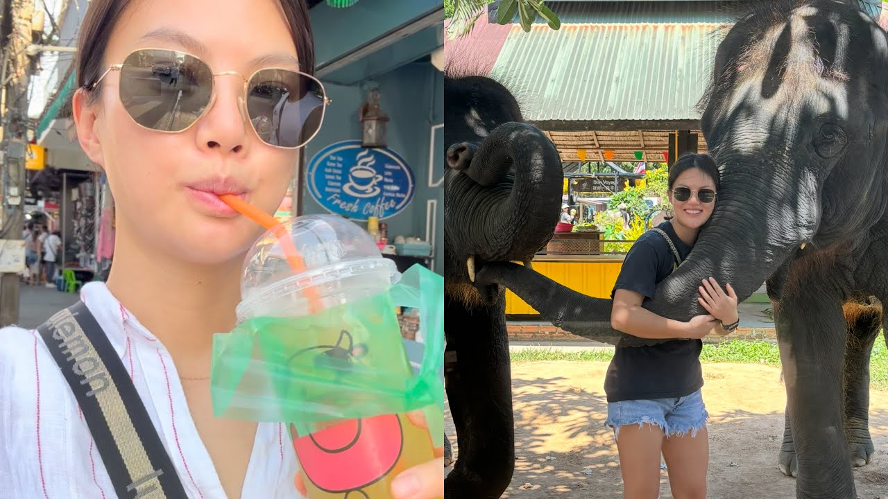 SINGAPORE - PHUKET VLOG - elephant sanctuary, Big Buddha, beach volleyball