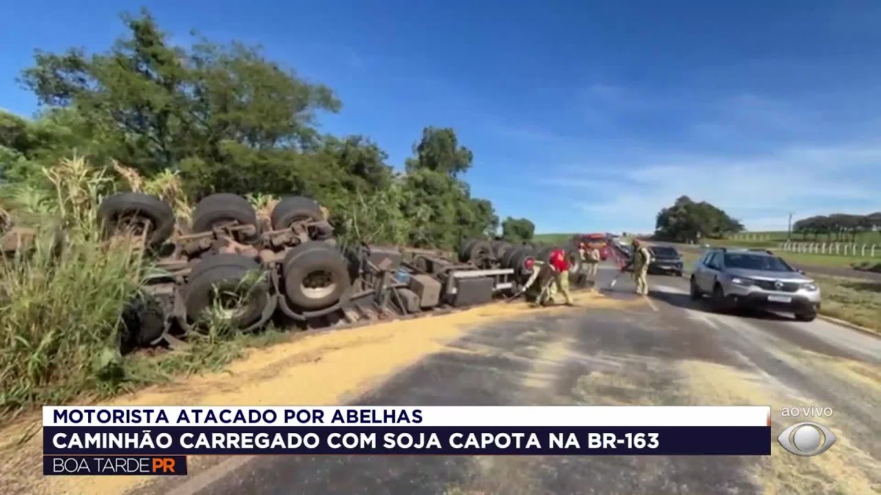 Caminhão com soja capota na BR-163 e motorista é atacado por abelhas