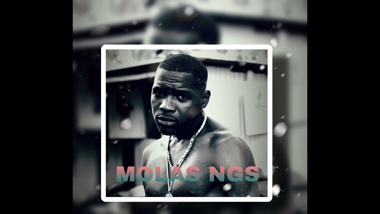MOLAS ngss - ambara zaou