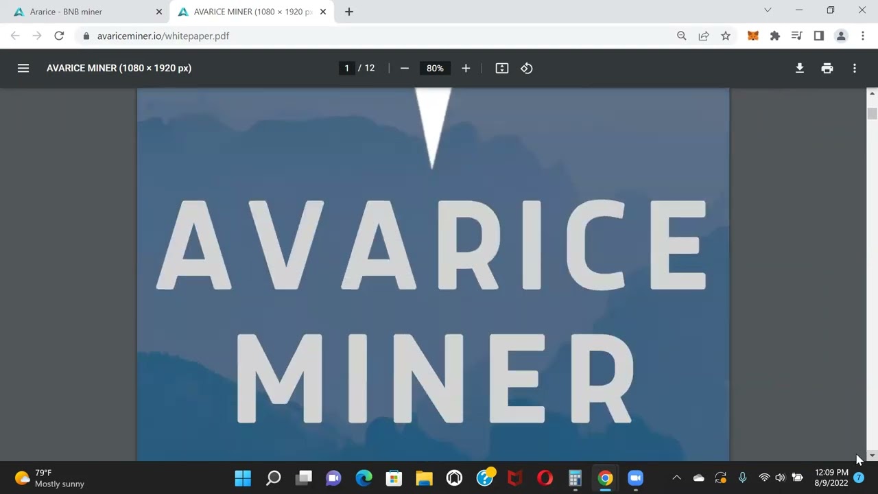 Avarice Miner - White Paper Review