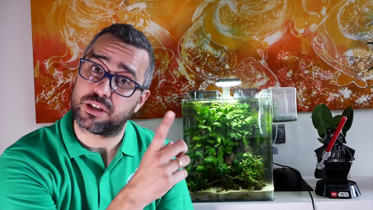 VideoRespuestas 8: NPK, potasio, nitrato magnesio, luz