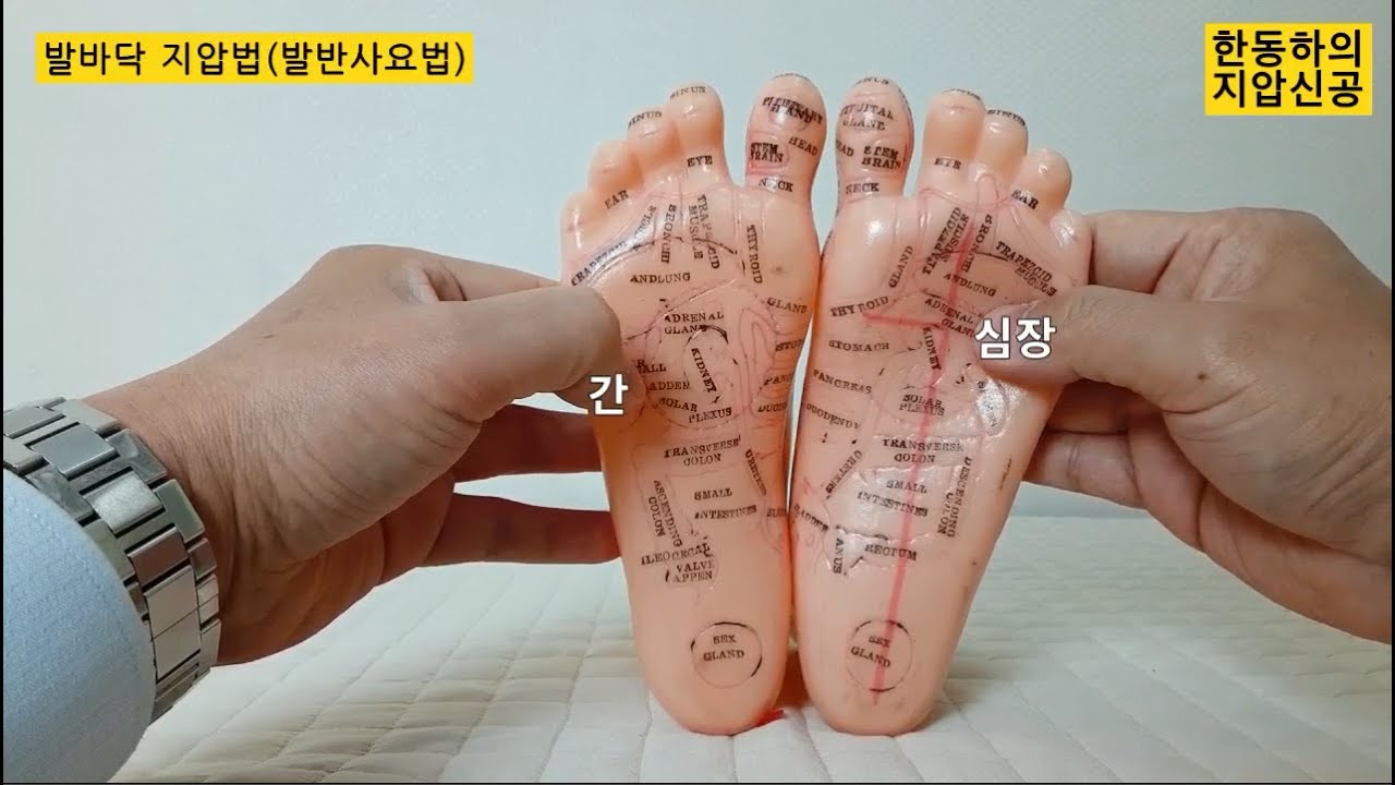 누구나 쉽게 따라하는 발마사지(발반사요법) 초간단 활용법 - 한동하의 지압신공