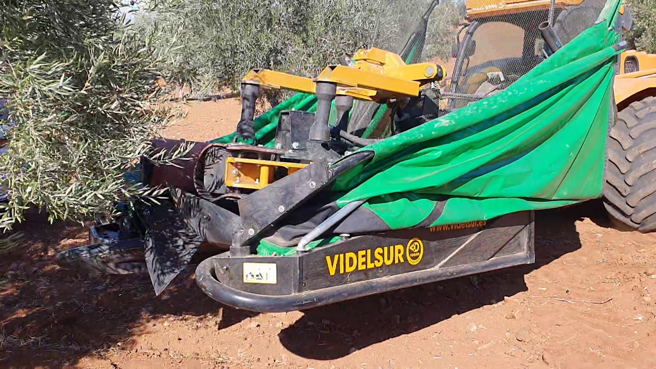 Videlsur. Recolector TipoF montado sobre buggy Pellenc