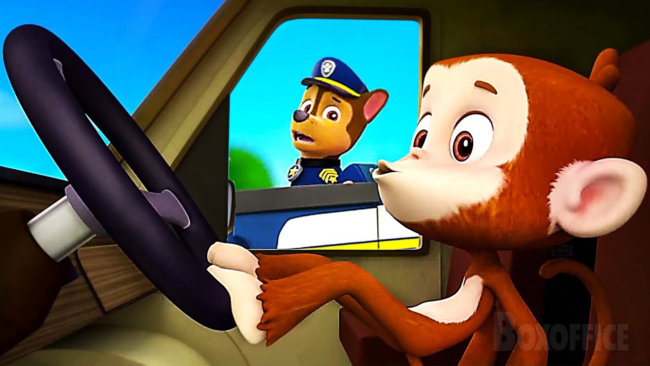 Skye & Chase stop a CUTE Criminal Monkey 🐒🍌 | PAW Patrol Series | CLIP