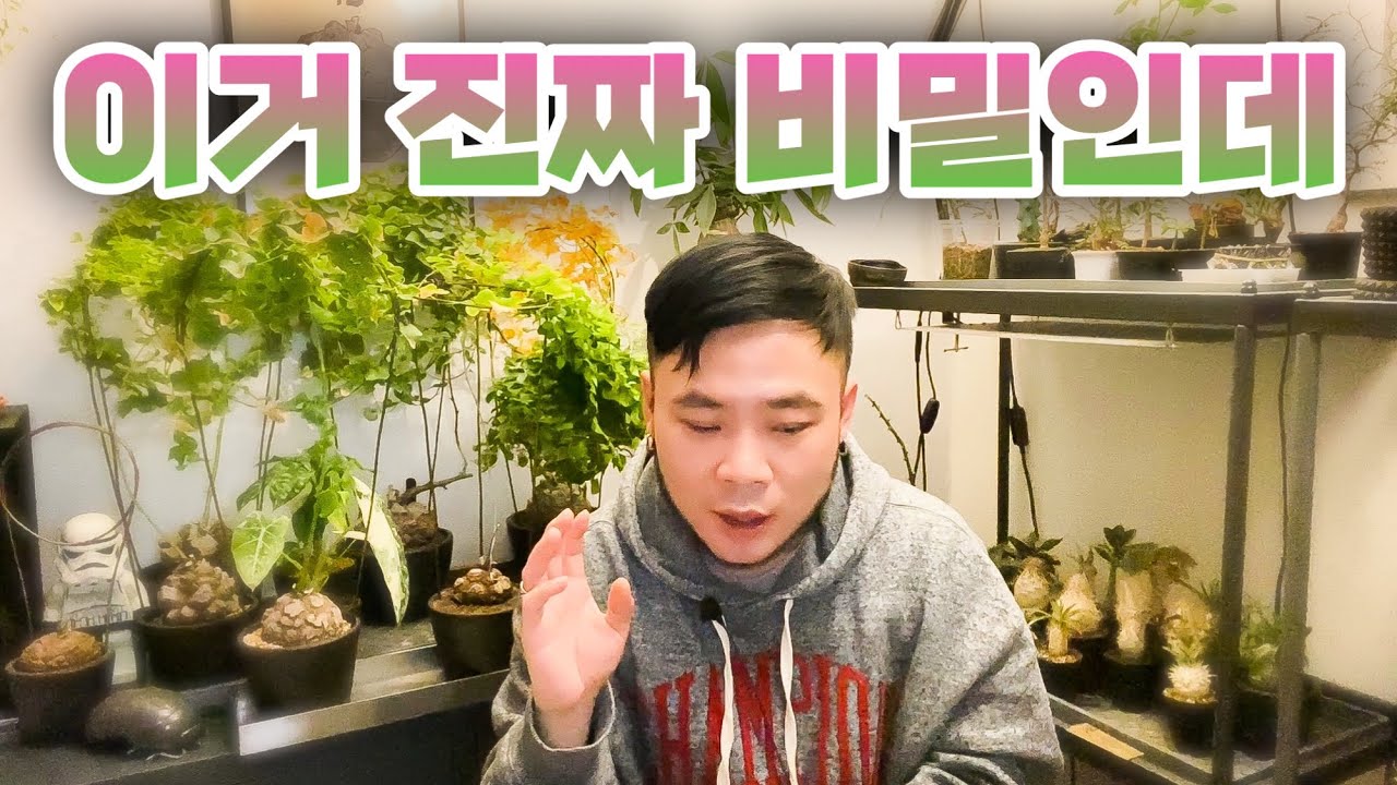 제가 분갈이 할 때 꼭 넣는 최강 미생물 알려드립니다. 병해뚝을 능가하는 최강 유익균 / 곰팡이 세균 버섯균 킬러