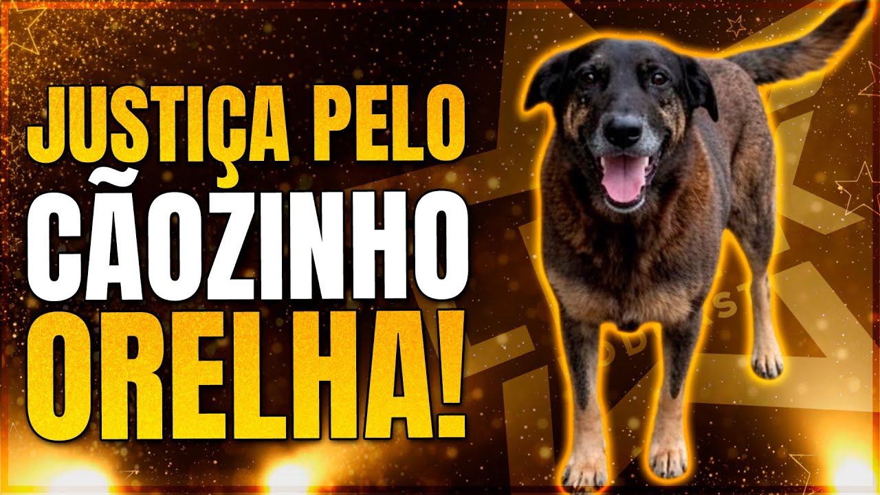 🟣 ANA PAULA MOVIMENTA O JOGO; BROTHERS TRAMAM CONTRA ANA PAULA | LINK PODCAST