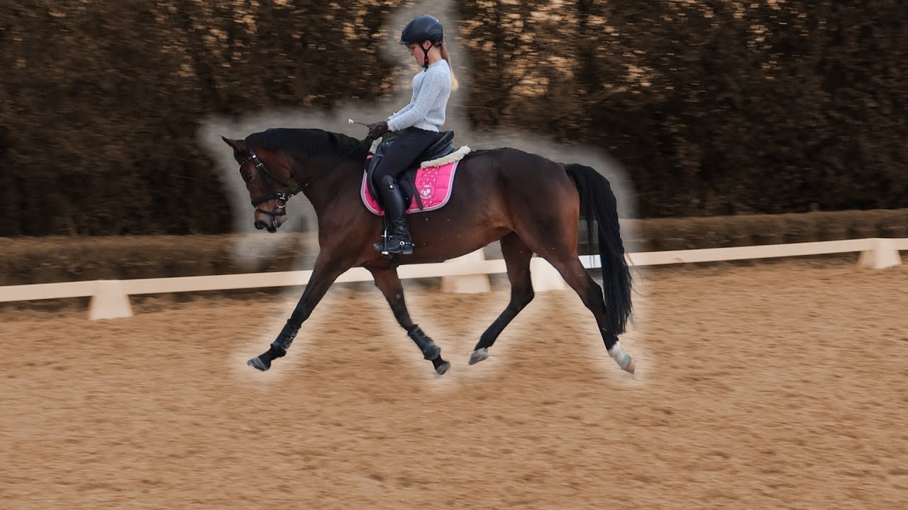Aus der Schule direkt zum Pony 🏫🐴 | Marina und die Ponys