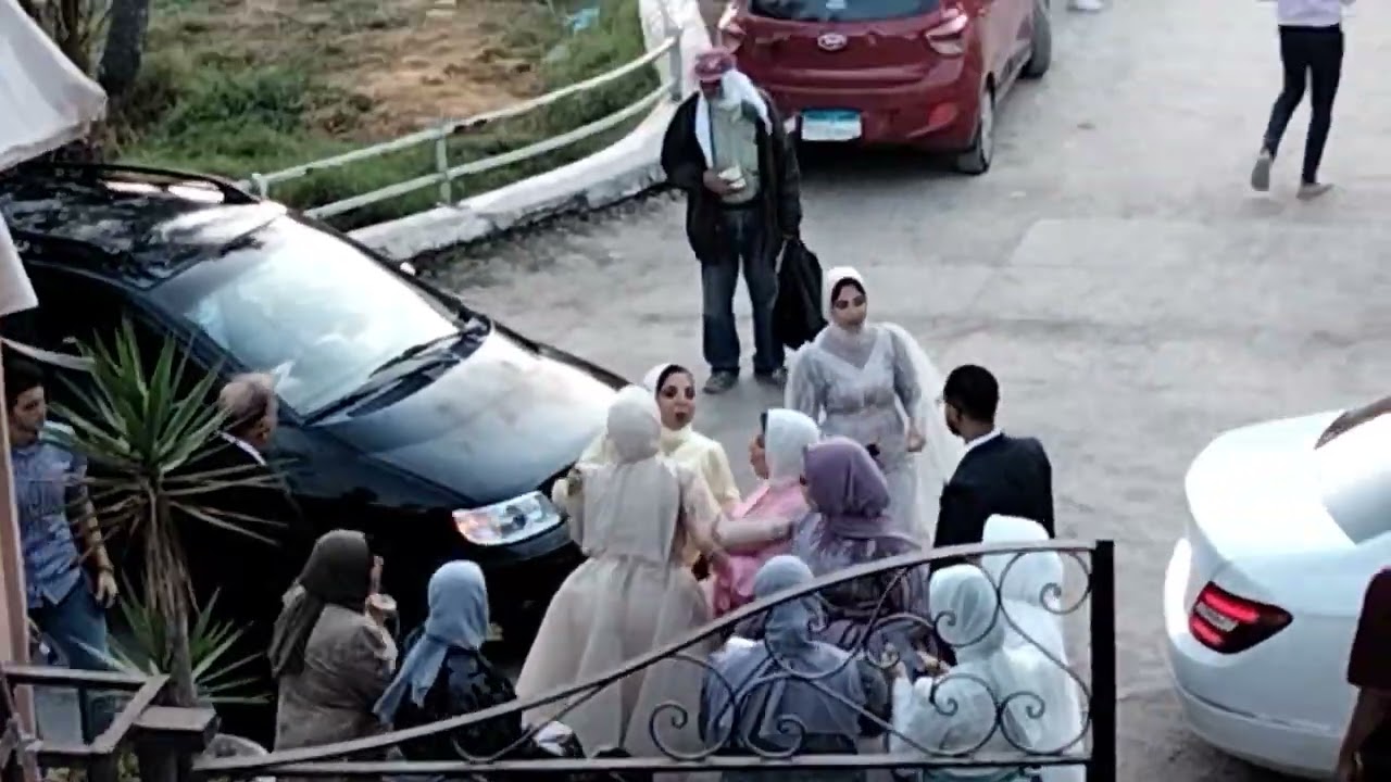 قاعات اسكندريه وجمالها 🤩🤩