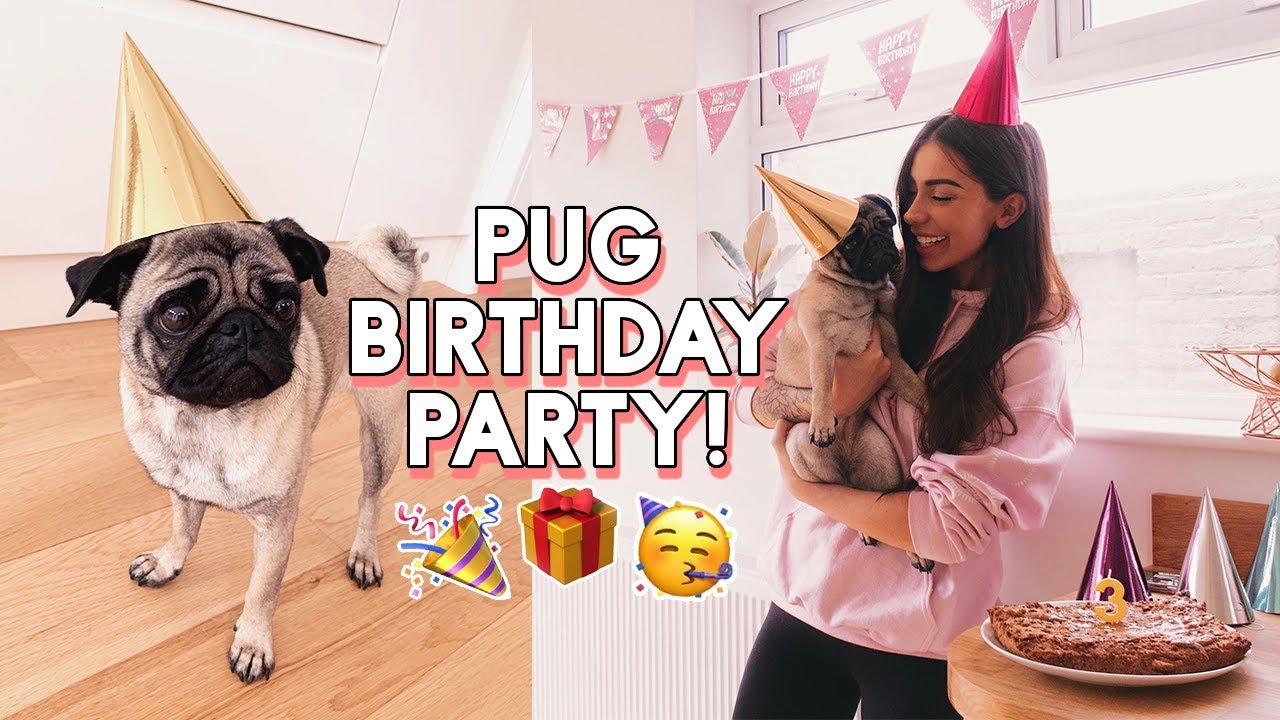 PUG PARTY! BEANS' BIRTHDAY | Baking a Dog Birthday Cake & Buying Everything My Dog Touches