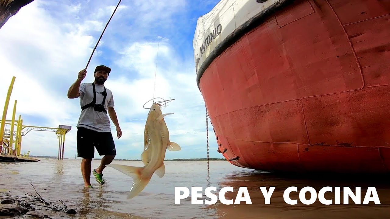 PESCA Y COCINA, RECETA DE PESCADO Y ACUARIO URBANO