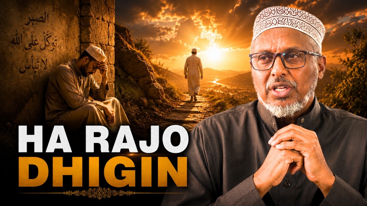 Dhiirigalin! 𝐇𝐚 𝐑𝐚𝐣𝐨 𝐃𝐡𝐢𝐠𝐢𝐧 | Sheekh Mustafe | Wacdi iyo Waano Cusub ~ 𝐐𝐢𝐬𝐨𝐨𝐲𝐢𝐧 𝐂𝐚𝐣𝐢𝐢𝐛 𝐀𝐡