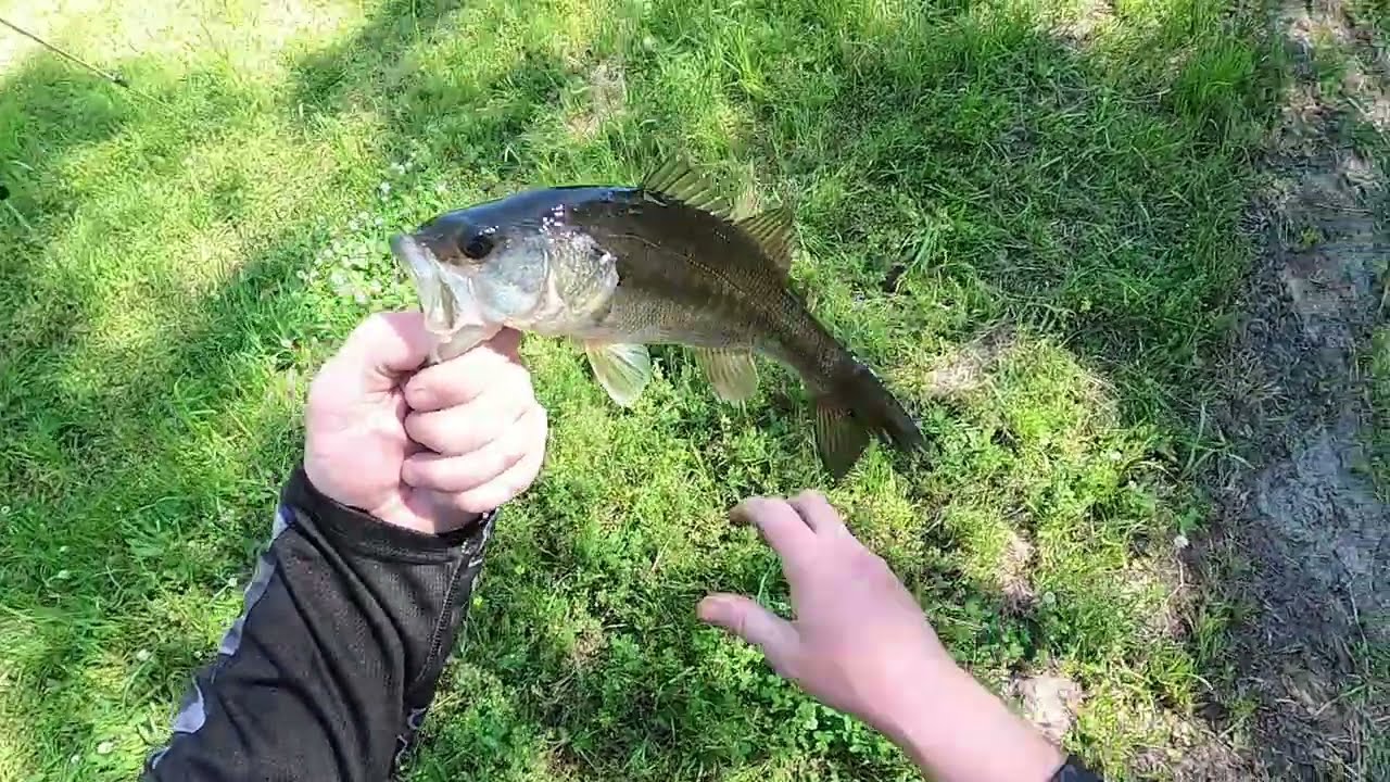 Urban Canal Fishing Savannah Georgia
