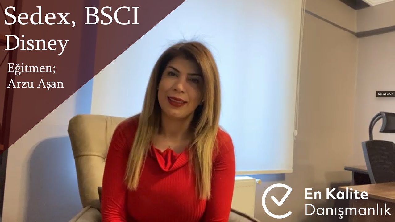 Sedex, BSCI, Disney | En Kalite Danışmanlık
