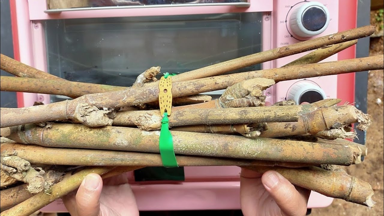 DIY Bamboo Twig & Resin Craft: A Step-by-Step Guide