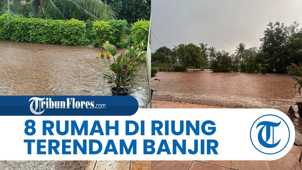 Banjir Terjang Riung Ngada, 8 Rumah Terendam, Warga Mengungsi