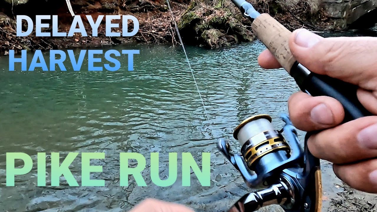 Delayed Harvest Trout Fishing at Pike Run
