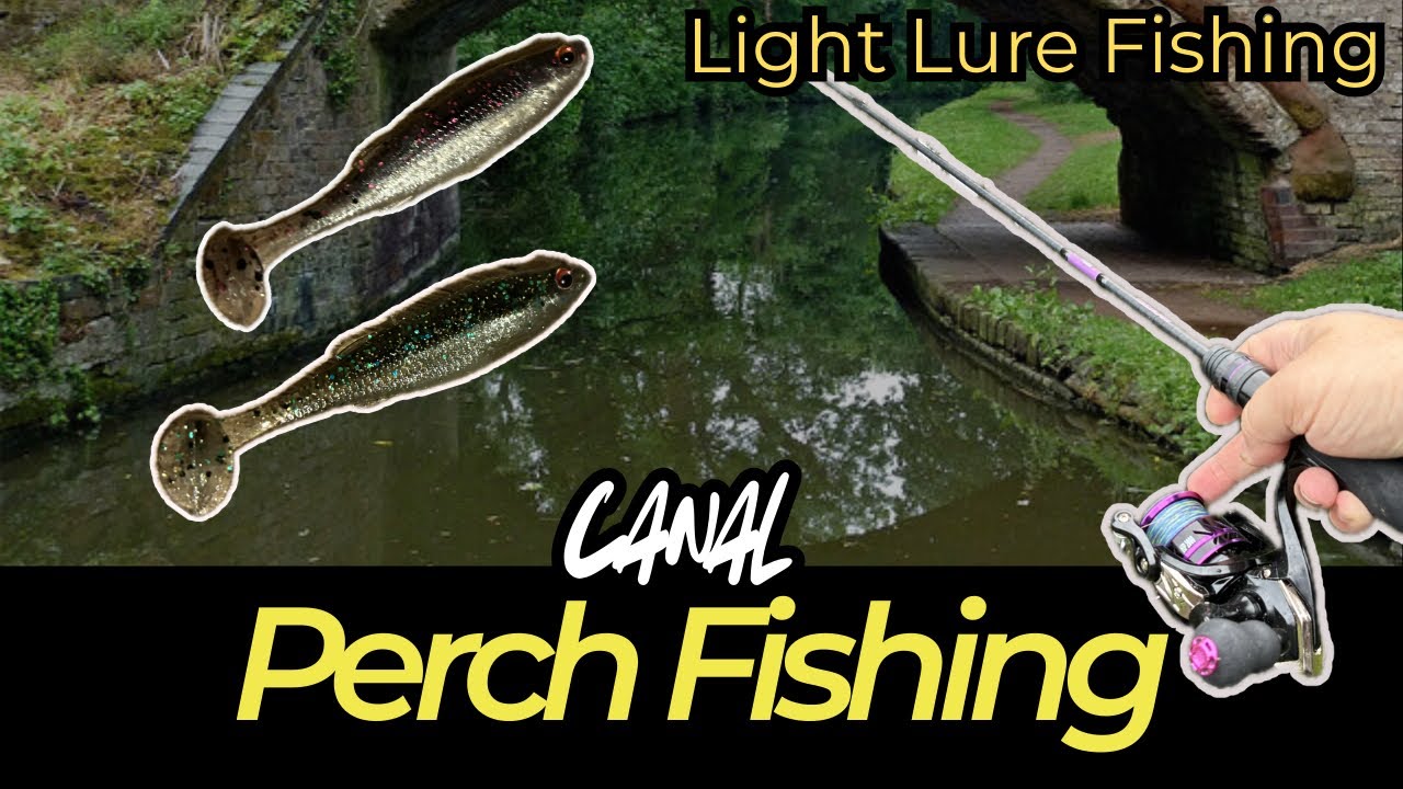 Perch Fishing UK - lure fishing on the canal - Pike - Perch - Soft Plastics 