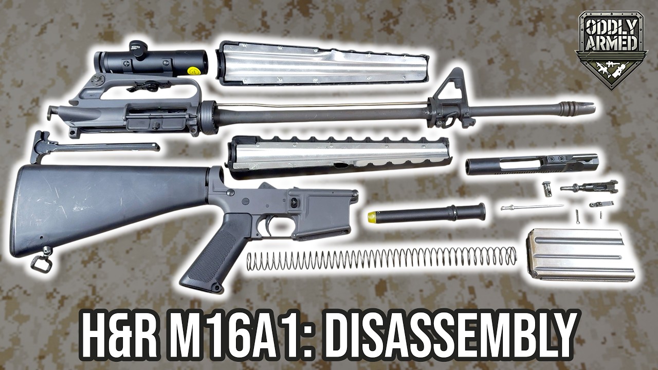 Разборка H&R M16A1