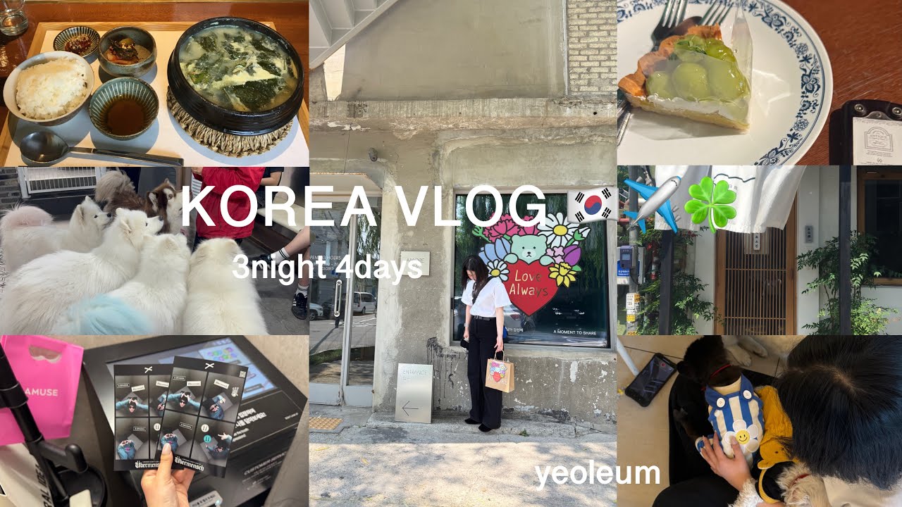 韓国VLOG:3泊4日、行きたいところ全部回る親子旅行✈️ホットな街を巡る🌇聖水・漢南:東大門でナイトショッピング🛍️おしゃれなカフェ、犬カフェ🐕韓国ご飯を堪能‼︎大学4年生は化粧品がお好み...