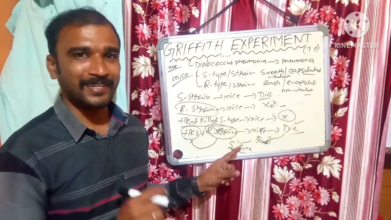 GRIFFITH EXPERIMENT BY KRISHNA SIR