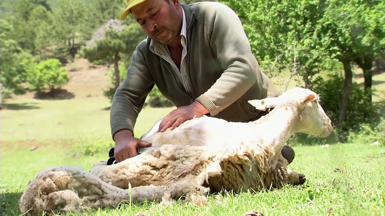 Uşak Belgeseli 2017