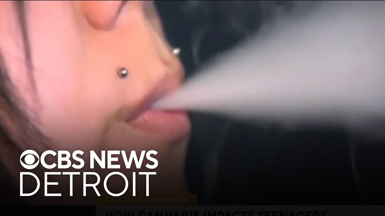 What effects does THC have on youth who dabble?