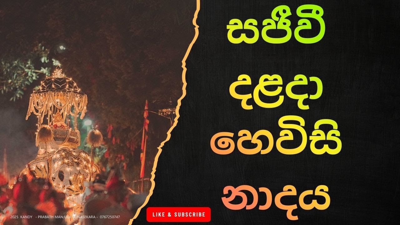 දළදා මාලිගාවේ සවස් තේවා හේවිසි – හදවත පිරිසිදු කරන නාදය 🎵 SIRI DALADA THEWA HEVISI NADAYA