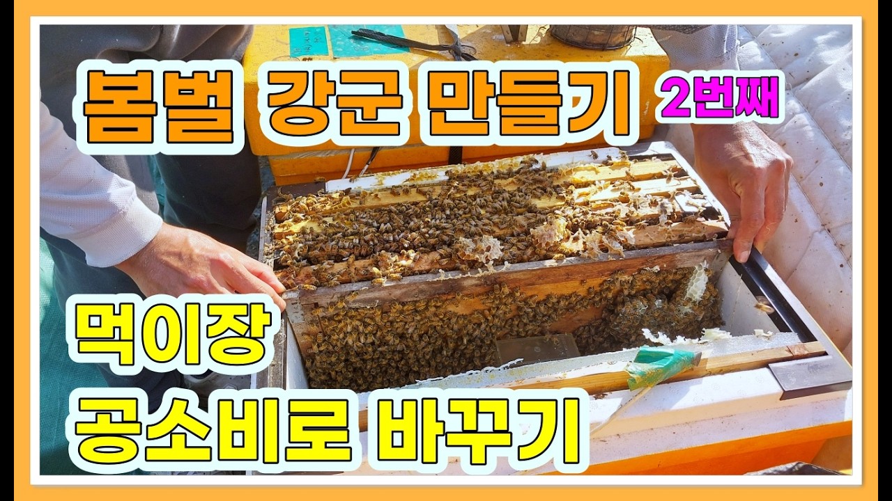 4월 양봉관리/ 이렇게 키우면 약군도 강군이 됩니다