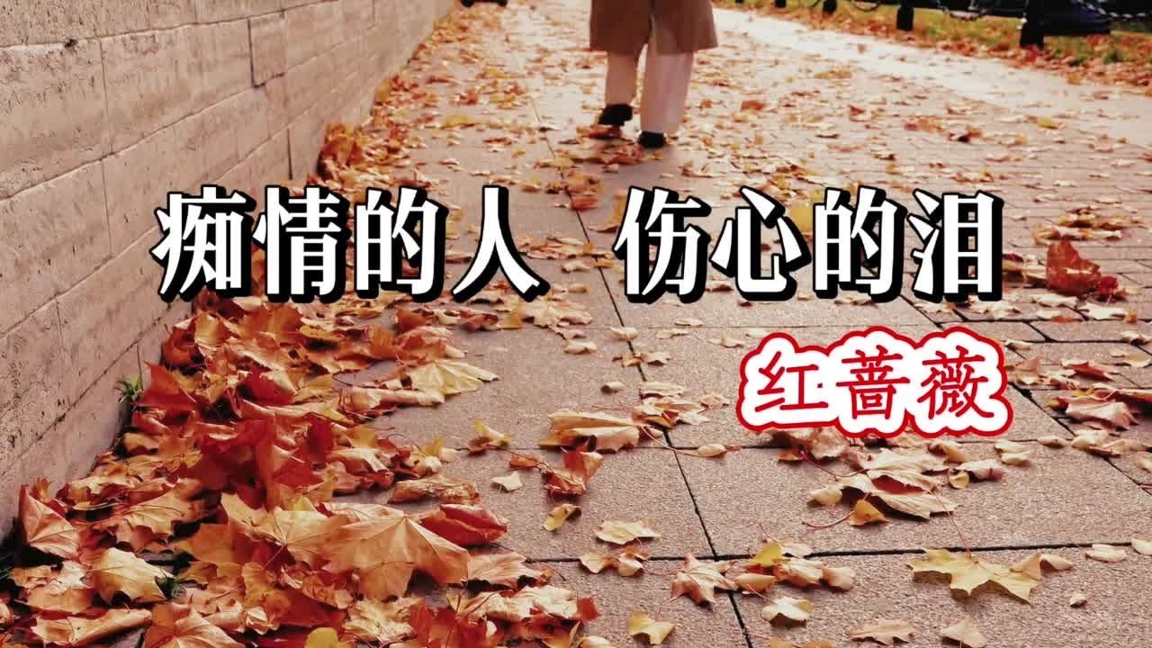 如果有一天我放弃了 那是因为你的不在乎《痴情的人 伤心的泪》💟 红蔷薇