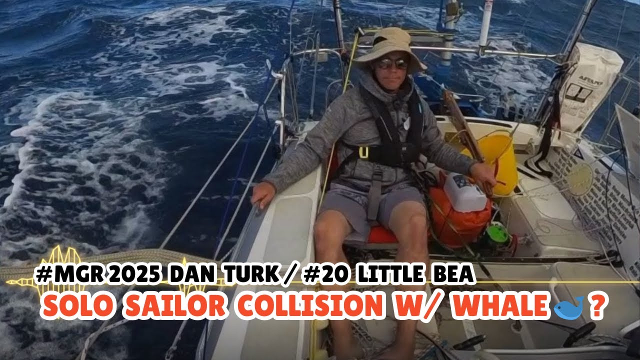 🐋Solo sailor COLLISION  W/  WHALE at Sea: #mgr2025 Dan Turk’s Whale Incident w/ his tiny 5.80m boat🐋