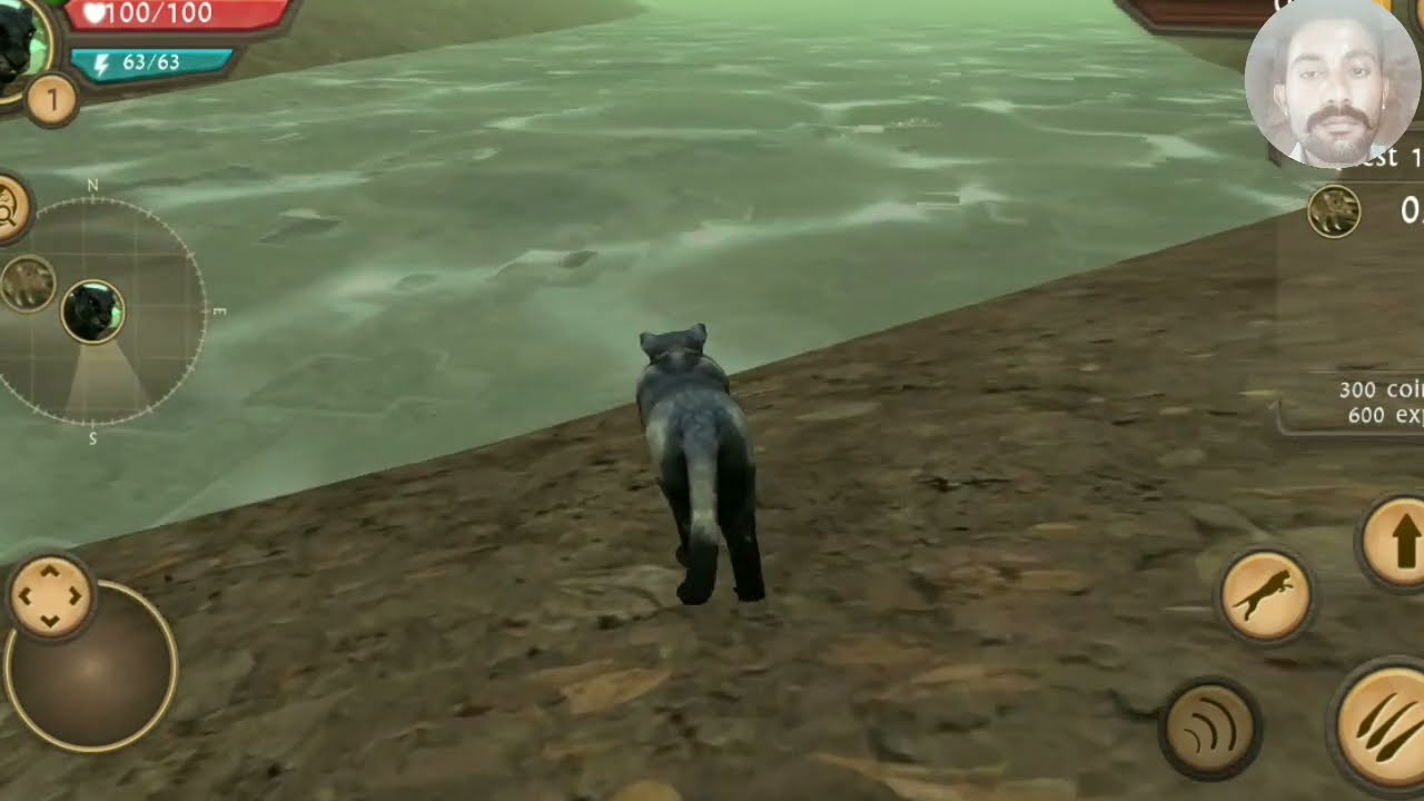 wild panther simulator 3D gameply