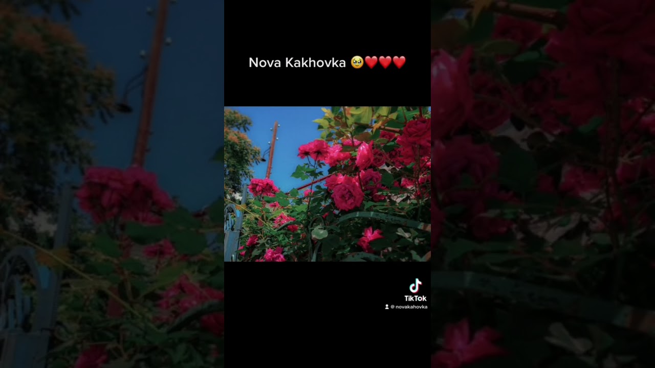 Нова Каховка це Україна🇺🇦 Згоден &mdash; ЛАЙК🇺🇦❤️ #новакаховка #новаякаховка